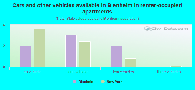 Cars and other vehicles available in Blenheim in renter-occupied apartments