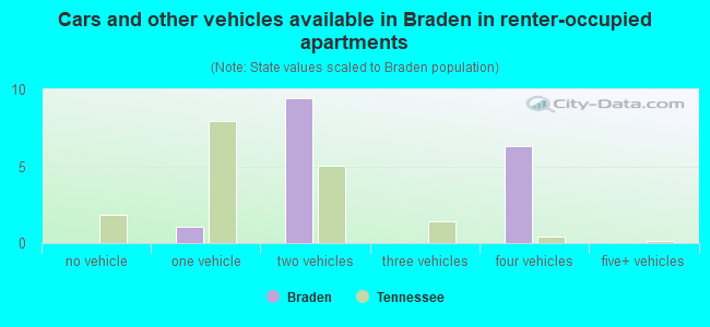 Cars and other vehicles available in Braden in renter-occupied apartments