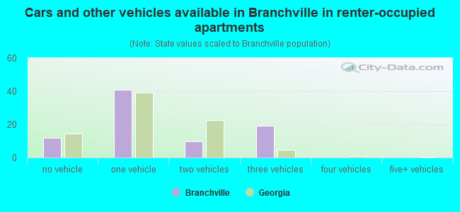 Cars and other vehicles available in Branchville in renter-occupied apartments