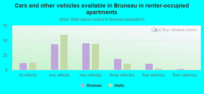 Cars and other vehicles available in Bruneau in renter-occupied apartments