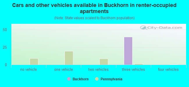 Cars and other vehicles available in Buckhorn in renter-occupied apartments