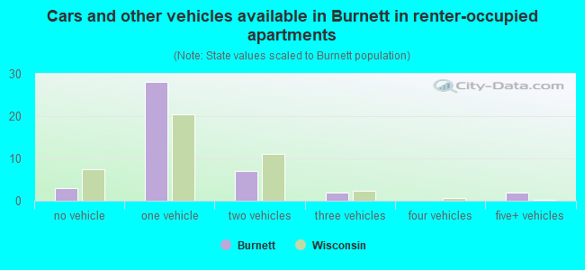 Cars and other vehicles available in Burnett in renter-occupied apartments