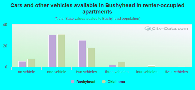 Cars and other vehicles available in Bushyhead in renter-occupied apartments