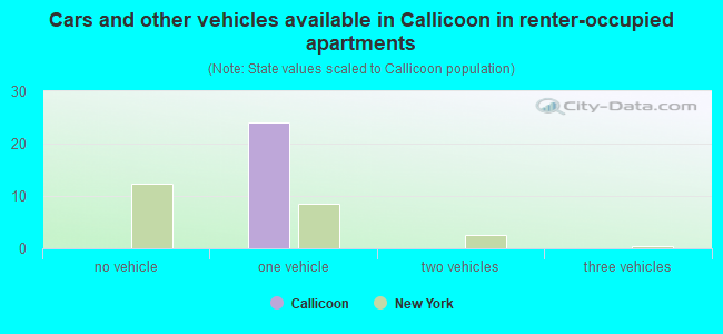 Cars and other vehicles available in Callicoon in renter-occupied apartments