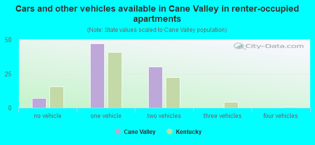 Cars and other vehicles available in Cane Valley in renter-occupied apartments
