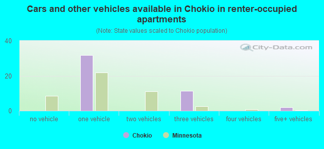Cars and other vehicles available in Chokio in renter-occupied apartments