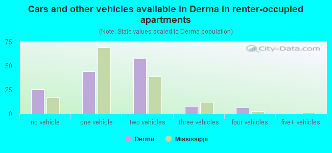 Cars and other vehicles available in Derma in renter-occupied apartments