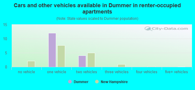 Cars and other vehicles available in Dummer in renter-occupied apartments