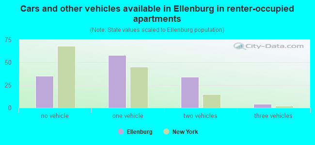 Cars and other vehicles available in Ellenburg in renter-occupied apartments