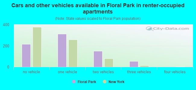 Cars and other vehicles available in Floral Park in renter-occupied apartments