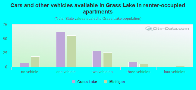 Cars and other vehicles available in Grass Lake in renter-occupied apartments