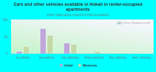 Cars and other vehicles available in Hokah in renter-occupied apartments