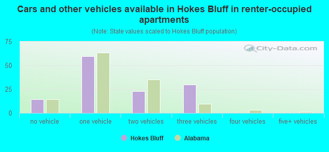 Cars and other vehicles available in Hokes Bluff in renter-occupied apartments
