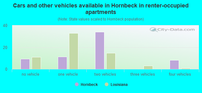 Cars and other vehicles available in Hornbeck in renter-occupied apartments