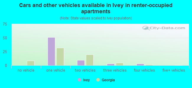 Cars and other vehicles available in Ivey in renter-occupied apartments