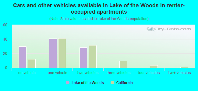 Cars and other vehicles available in Lake of the Woods in renter-occupied apartments