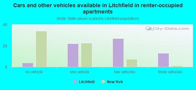Cars and other vehicles available in Litchfield in renter-occupied apartments