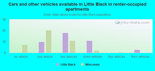 Cars and other vehicles available in Little Black in renter-occupied apartments