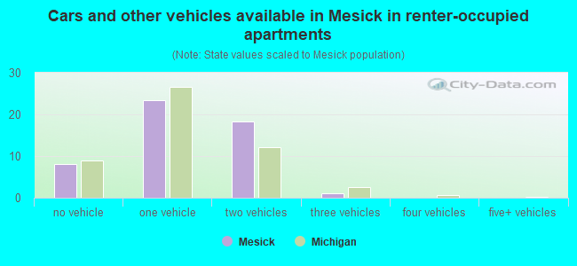 Cars and other vehicles available in Mesick in renter-occupied apartments