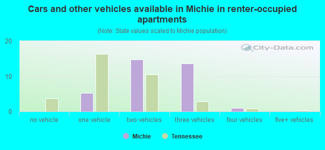 Cars and other vehicles available in Michie in renter-occupied apartments