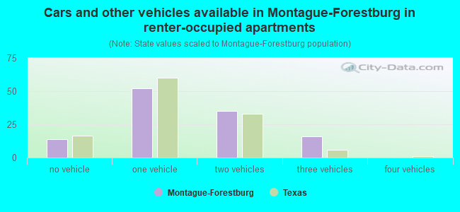 Cars and other vehicles available in Montague-Forestburg in renter-occupied apartments