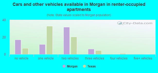 Cars and other vehicles available in Morgan in renter-occupied apartments