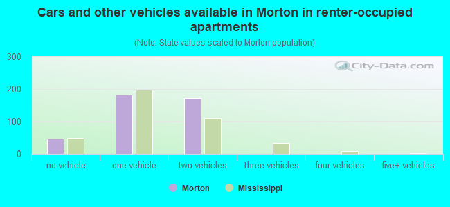 Cars and other vehicles available in Morton in renter-occupied apartments