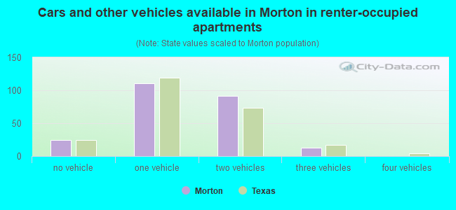 Cars and other vehicles available in Morton in renter-occupied apartments