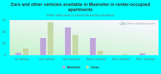 Cars and other vehicles available in Muenster in renter-occupied apartments