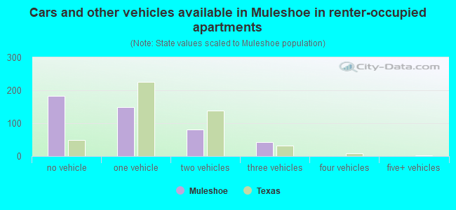 Cars and other vehicles available in Muleshoe in renter-occupied apartments