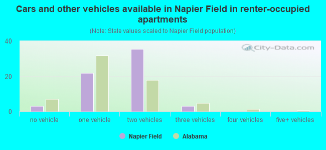 Cars and other vehicles available in Napier Field in renter-occupied apartments