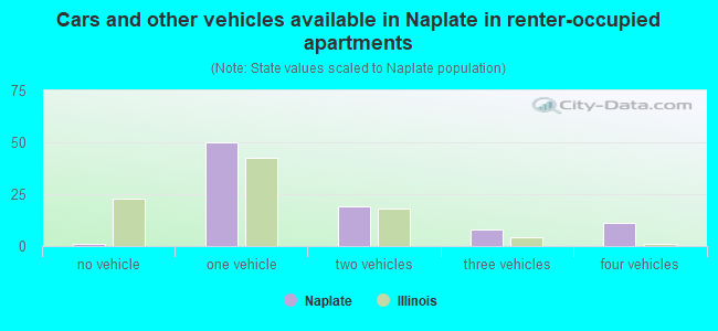 Cars and other vehicles available in Naplate in renter-occupied apartments