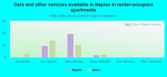 Cars and other vehicles available in Naples in renter-occupied apartments