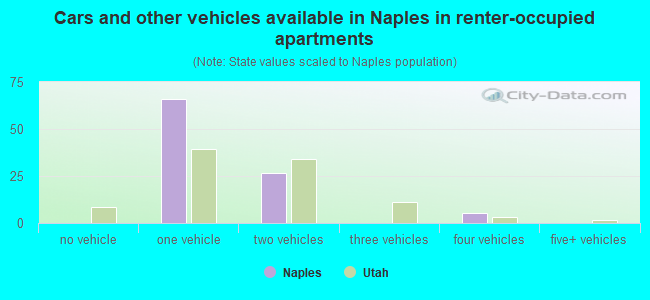 Cars and other vehicles available in Naples in renter-occupied apartments