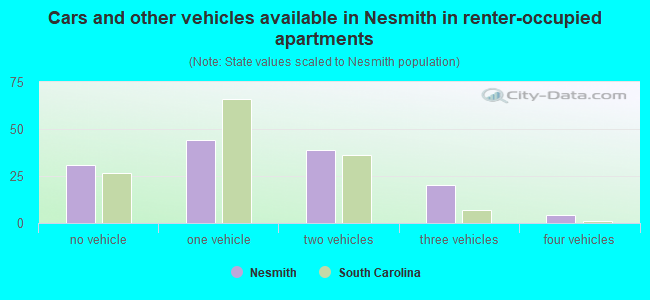 Cars and other vehicles available in Nesmith in renter-occupied apartments