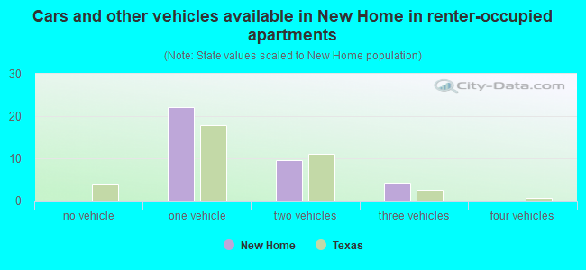 Cars and other vehicles available in New Home in renter-occupied apartments