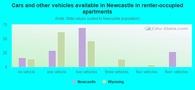 Cars and other vehicles available in Newcastle in renter-occupied apartments