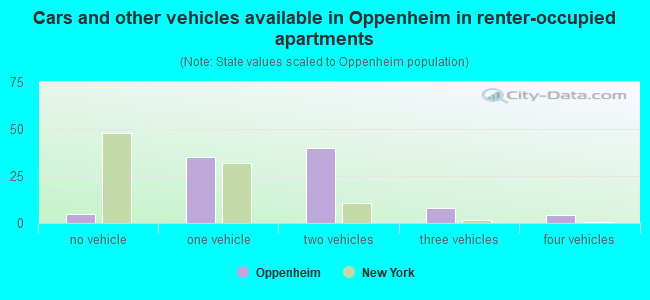 Cars and other vehicles available in Oppenheim in renter-occupied apartments
