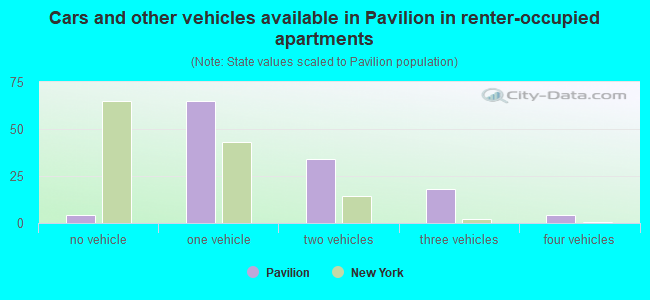 Cars and other vehicles available in Pavilion in renter-occupied apartments