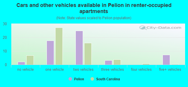 Cars and other vehicles available in Pelion in renter-occupied apartments