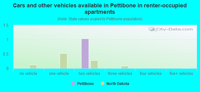 Cars and other vehicles available in Pettibone in renter-occupied apartments