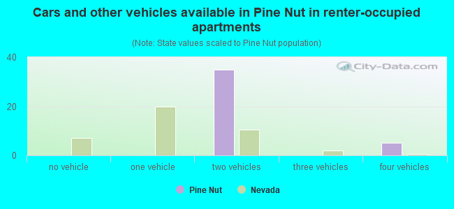 Cars and other vehicles available in Pine Nut in renter-occupied apartments