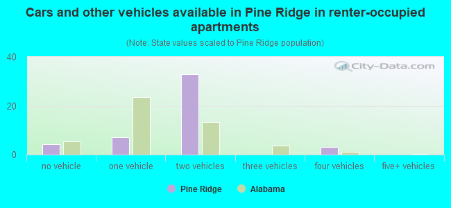 Cars and other vehicles available in Pine Ridge in renter-occupied apartments