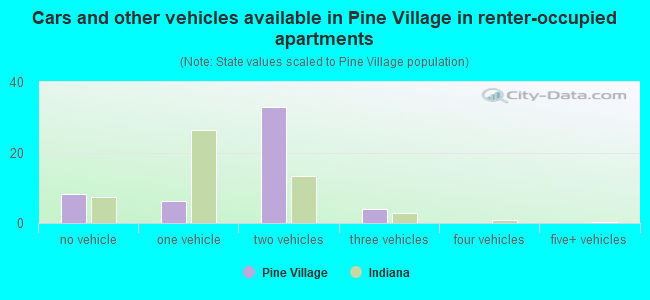 Cars and other vehicles available in Pine Village in renter-occupied apartments