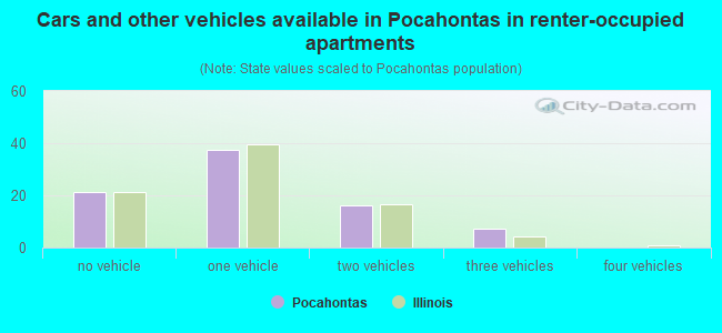 Cars and other vehicles available in Pocahontas in renter-occupied apartments