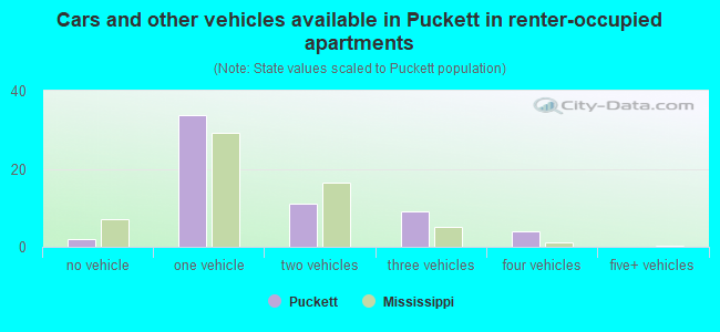 Cars and other vehicles available in Puckett in renter-occupied apartments