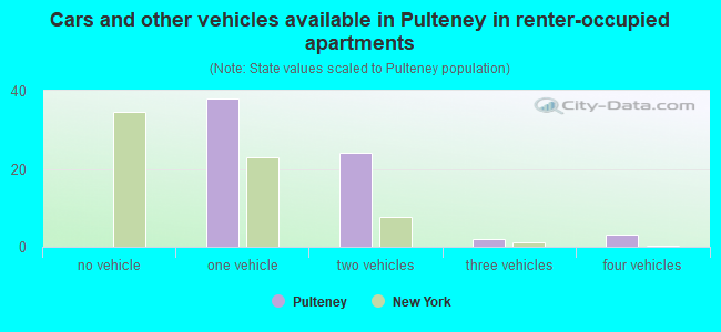 Cars and other vehicles available in Pulteney in renter-occupied apartments