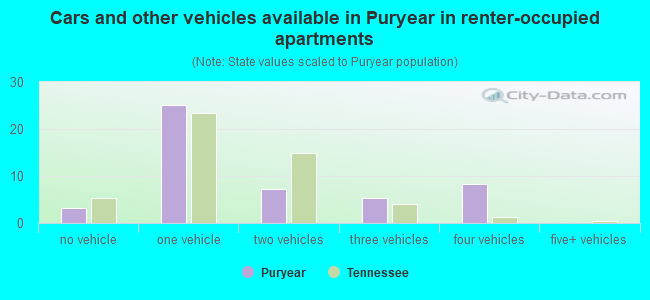 Cars and other vehicles available in Puryear in renter-occupied apartments