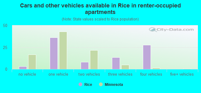Cars and other vehicles available in Rice in renter-occupied apartments