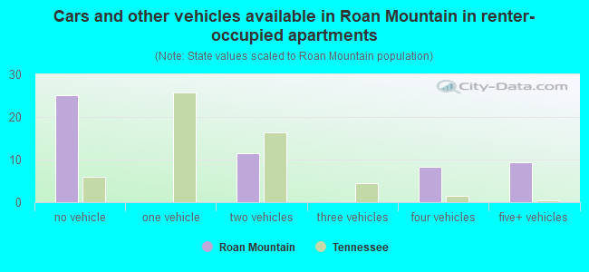 Cars and other vehicles available in Roan Mountain in renter-occupied apartments